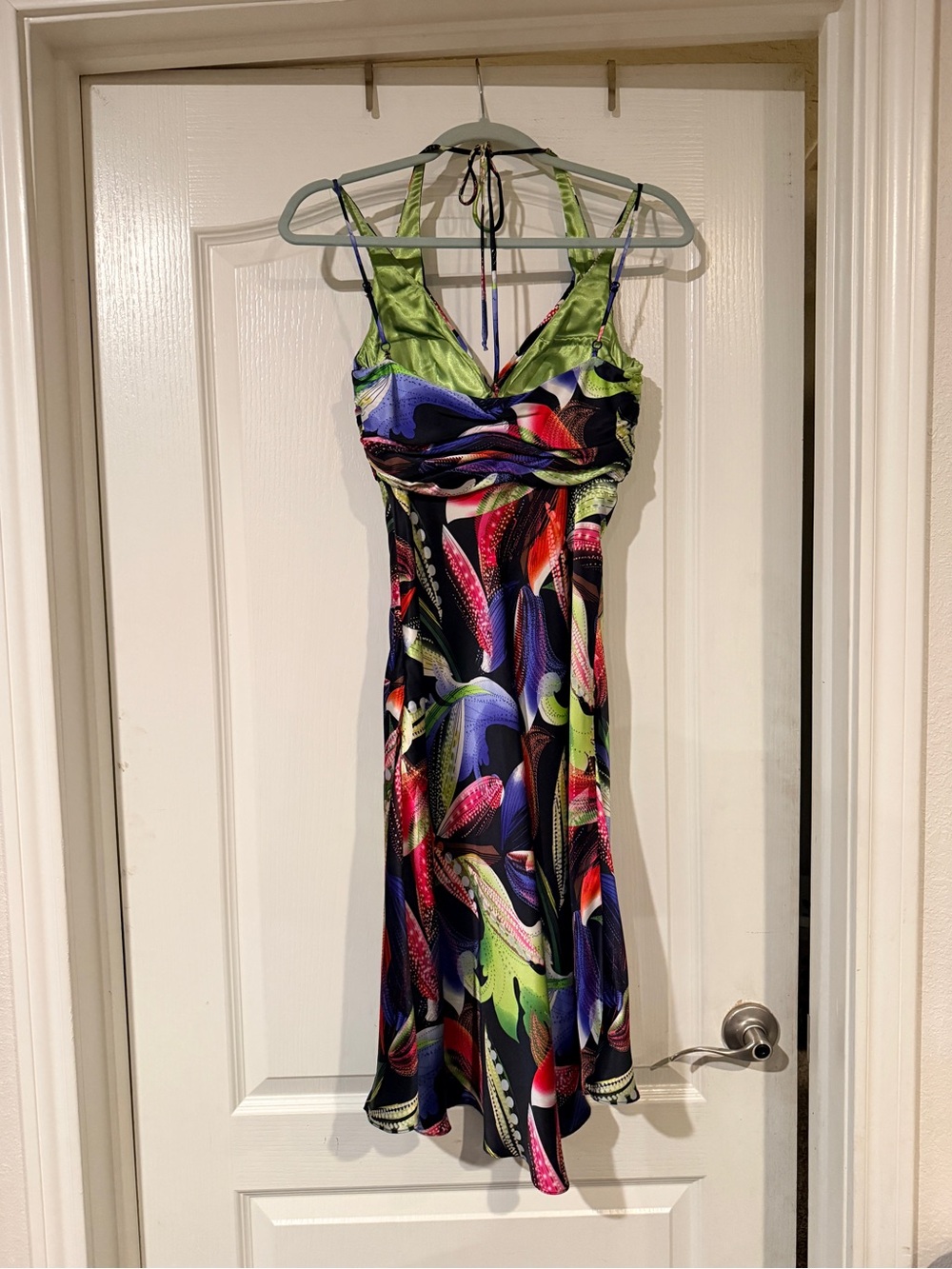 Cache Silk Dress - Picture 3 of 6